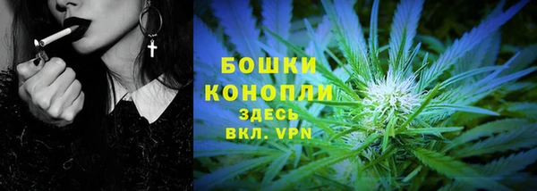 PSILOCYBIN Белокуриха