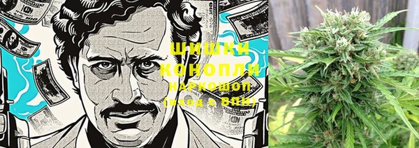 PSILOCYBIN Белокуриха
