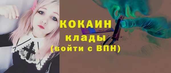 PSILOCYBIN Белокуриха