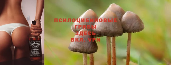 гидропоника Белоозёрский