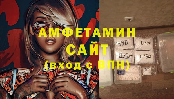 PSILOCYBIN Белокуриха