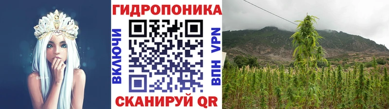 Бошки марихуана марихуана  Купить закладки  Мосальск 